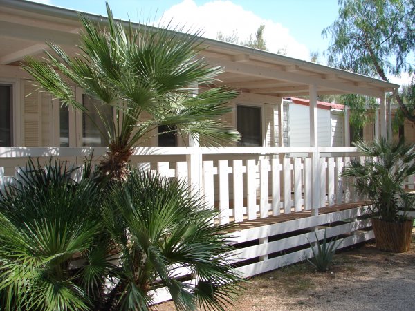 Terrazza in legno bianco con palme accanto.