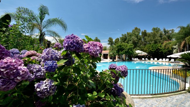 Piscina con cespugli di fiori lilla.