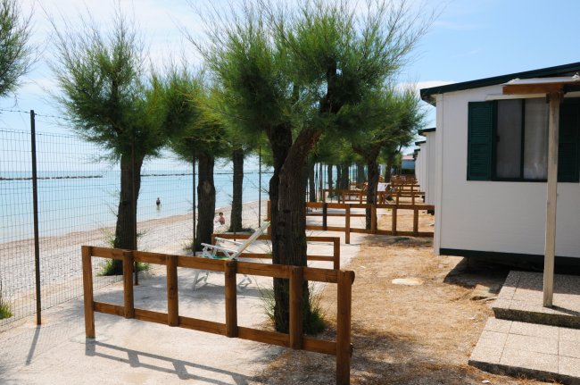 Spiaggia sabbiosa con alberi, bungalow bianchi e staccionata in legno.