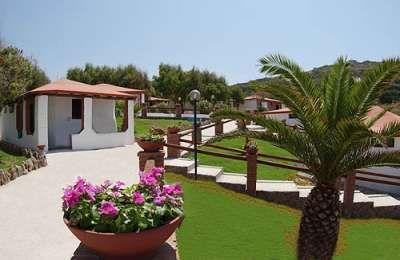 Vialetto in un giardino con ville, piante e fiori in vasi.