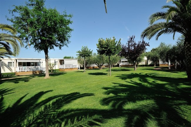 Prato verde con alberi e bungalow in lontananza in una giornata soleggiata.