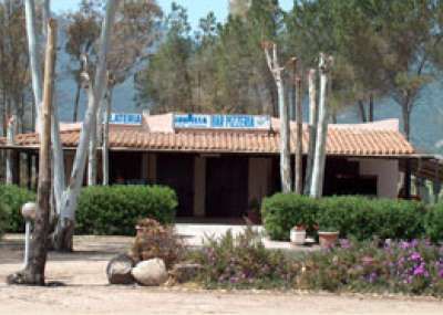 Edificio con tetto in tegole circondato da alberi e piante fiorite.