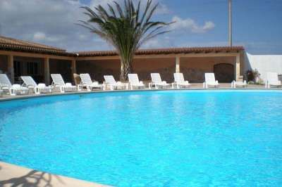 Una grande piscina circolare con sdraio bianche intorno e una palma alta nelle vicinanze.