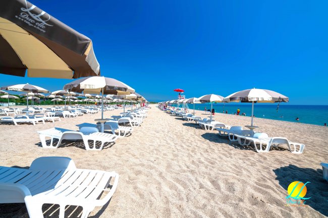 Spiaggia sabbiosa con file di lettini e ombrelloni sotto un cielo blu.