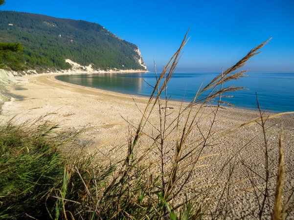 Spiaggia sabbiosa con mare calmo e montagne verdi sullo sfondo.