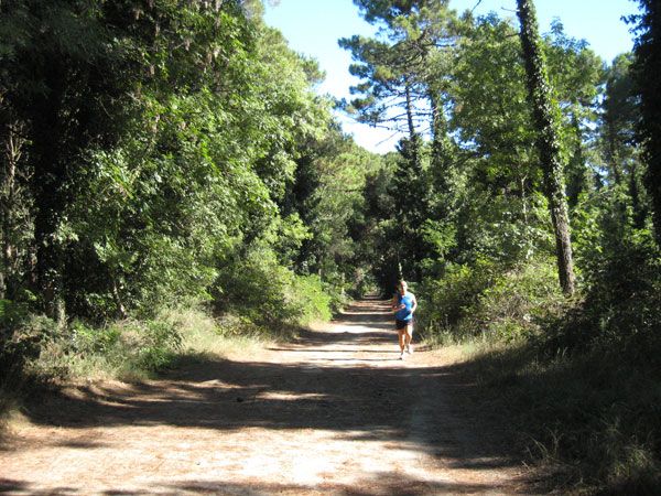 Un sentiero sterrato in un bosco verde, una persona corre lungo il percorso.