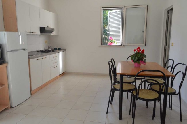 Cucina moderna bianca con tavolo da pranzo e sedie, pianta fiorita al centro del tavolo.