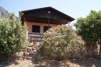 Una casa con veranda di legno e cespugli fioriti davanti.