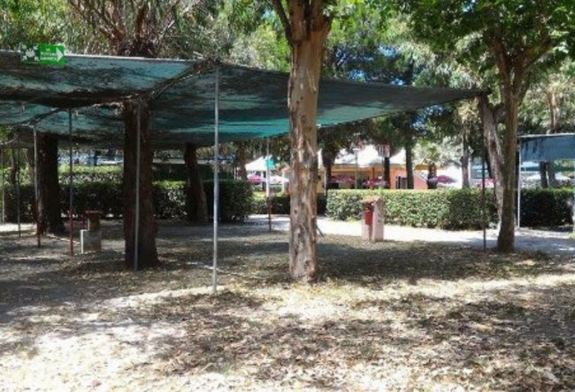 Area ombreggiata in un parco con alberi, cespugli e tettoie.