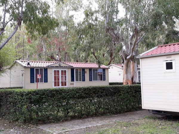Una casa mobile con tetto rosso e finestre blu, circondata da alberi.