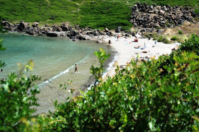 Piccola spiaggia con persone in acqua e vegetazione verde intorno.