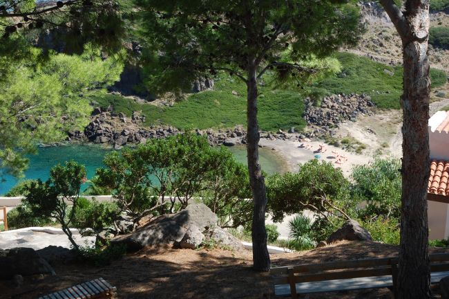 Un sentiero ombreggiato con vista su una spiaggia nascosta tra gli alberi e il mare blu.