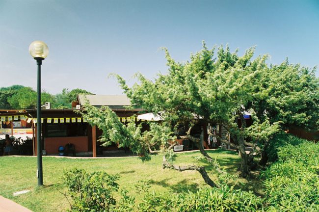 Area verde con cespugli, un lampione e un edificio con tetto spiovente.
