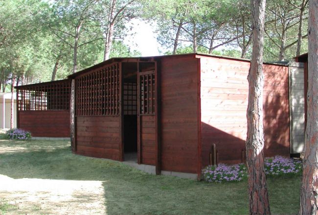 Struttura in legno con tetto inclinato circondata da alberi.