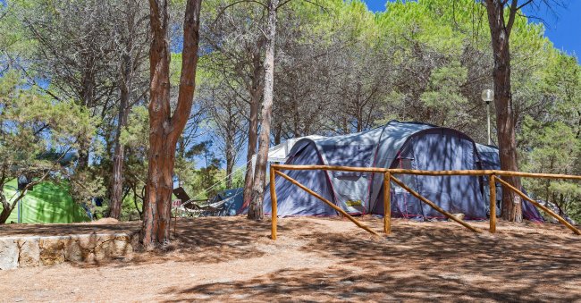 Tenda grigia e verde tra gli alberi, staccionata a vista.