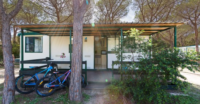Bici parcheggiate davanti a una casa mobile in un campeggio alberato.