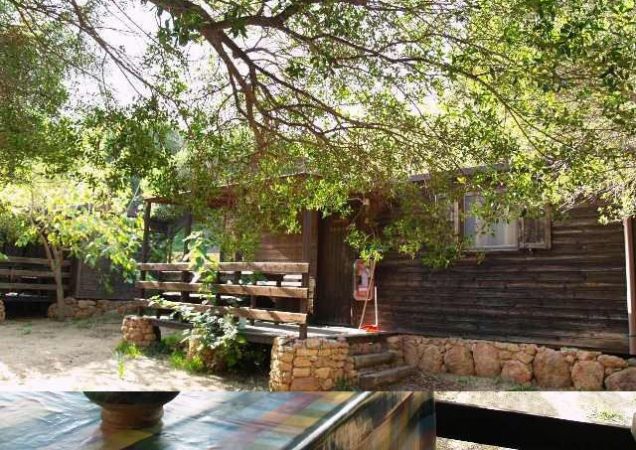 Casetta di legno con veranda, circondata da albero e siepe di pietre.
