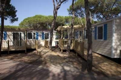 Case mobili in legno tra gli alberi con balconi e finestre blu.