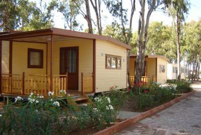 Bungalow gialli con terrazza accanto a un vialetto fiorito e alberato.
